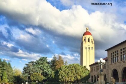 Best Undergraduate Business Schools in California