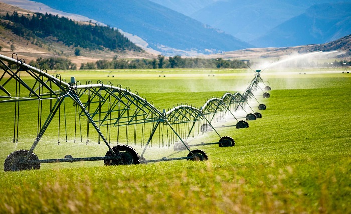 Irrigation System