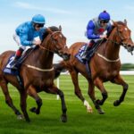 Fastest Thoroughbreds in Turf History Then and Now